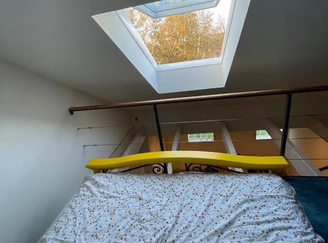 Deichgraf Appartement