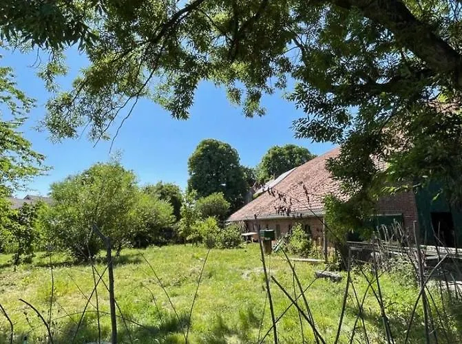 Deichgraf * 埃姆登